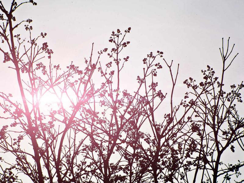 sudoku fun puzzle screenshot 6